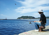 浜田漁港で魚釣り